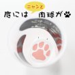 画像4: グラス 猫グラス 名入れ ギフト 猫足 COCONECO 親猫 ニャンコ 猫グッズ キャット cat 猫好き ネコ派 ネコと一緒 (4)