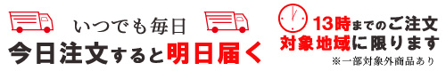 翌日お届け実施中（対象地域のみ/営業日13時締切）